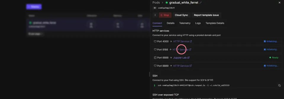 Pod Connect tab with the HTTP Service link on port 8188 circled.